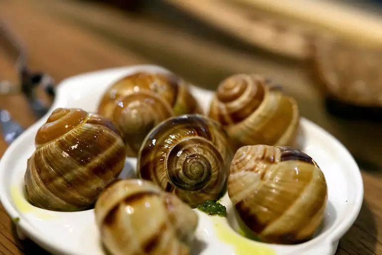 Can You Eat Apple Snails? [Read This First!]