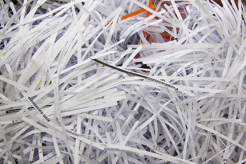 shredded paper as toy for bearded dragons