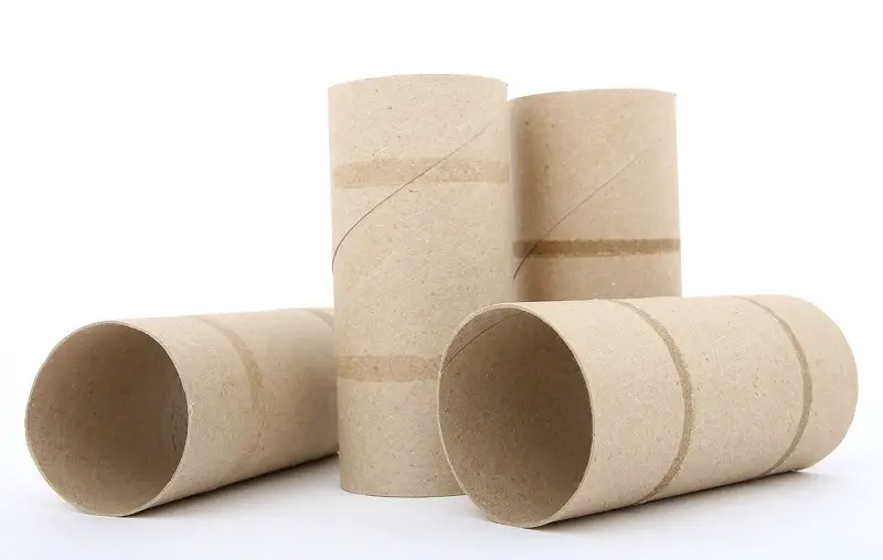 tissue paper rolls as toys for bearded dragons