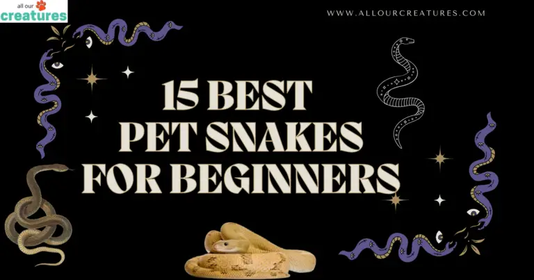 15 Best Pet Snakes For Beginners
