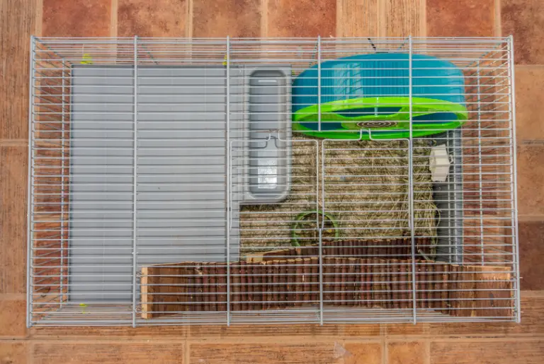 Discover the Best Hamster Cages: Your Ultimate Guide to a Hamster Haven