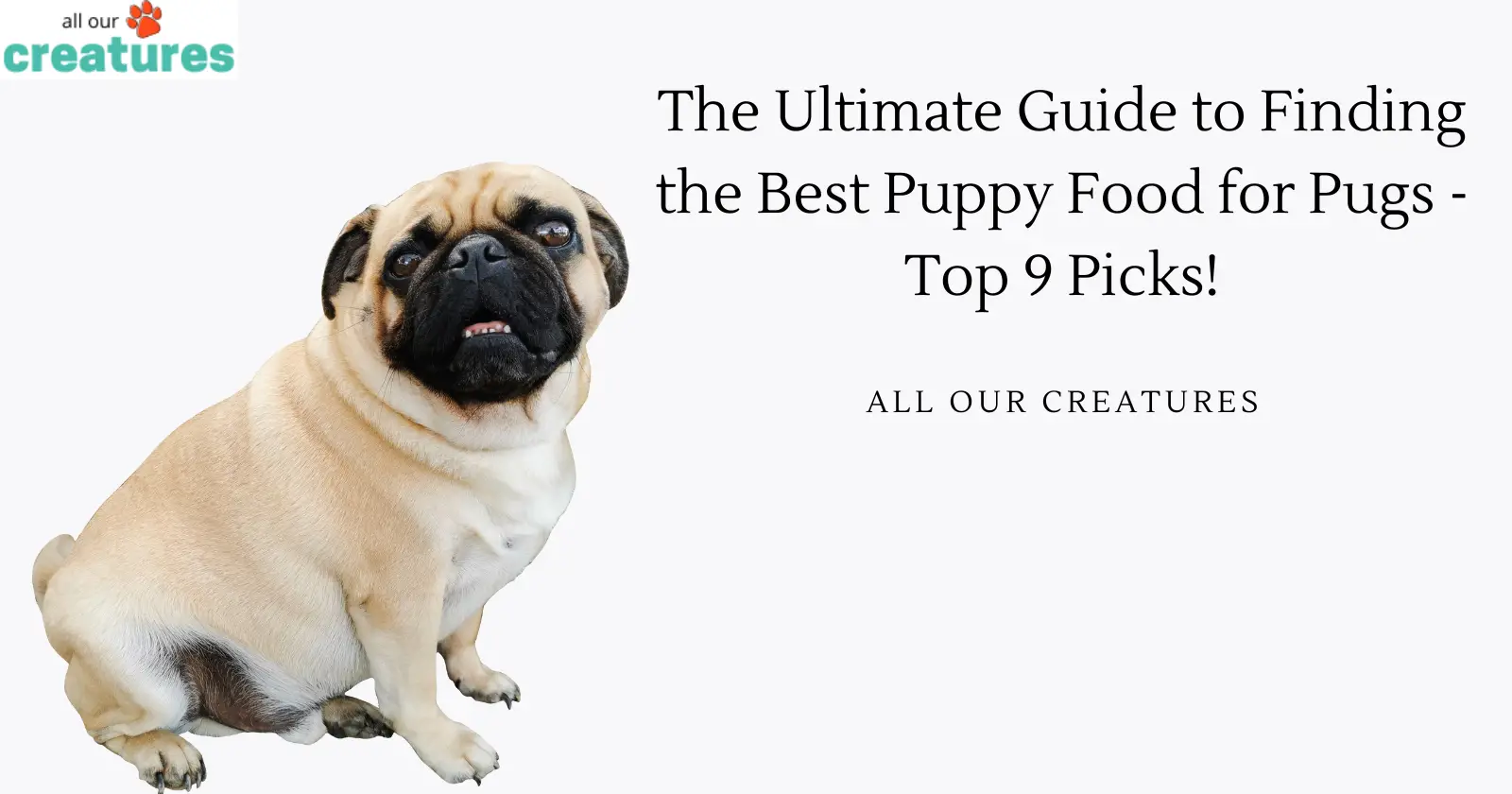 The Ultimate Guide to Finding the Best Puppy Food for Pugs - Top 9 Picks!