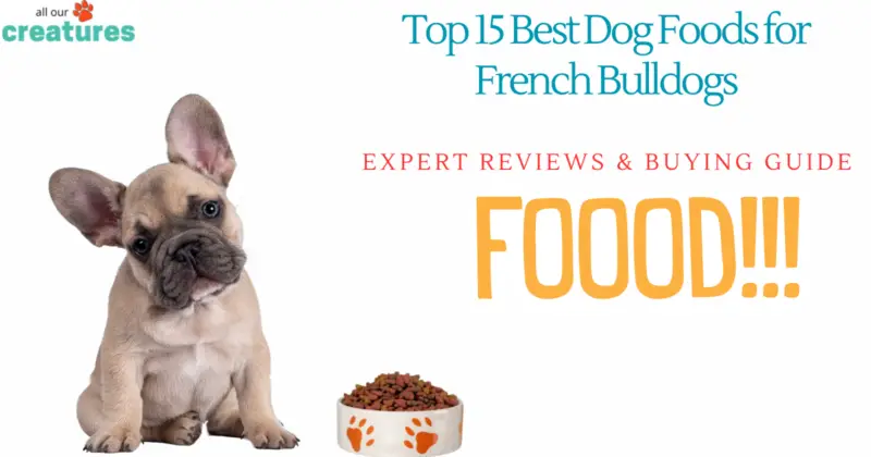 Top 15 Best Dog Foods for French bulldogs Expert Reviews & Buying Guide (1)