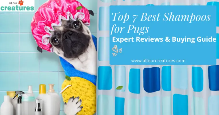 Top 7 Best Shampoos for Pugs: Expert Reviews & Buying Guide