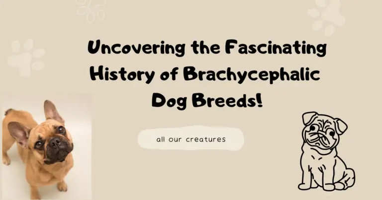 Uncovering the Fascinating History of Brachycephalic Dog Breeds!