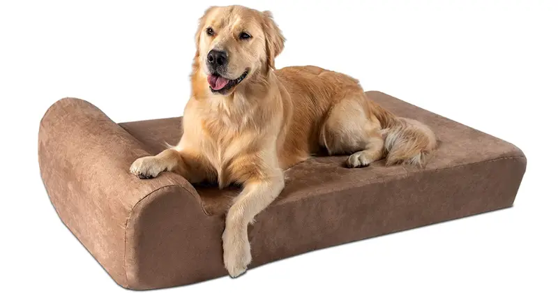 Big Barker Dog Bed: Best Beds for Pugs
