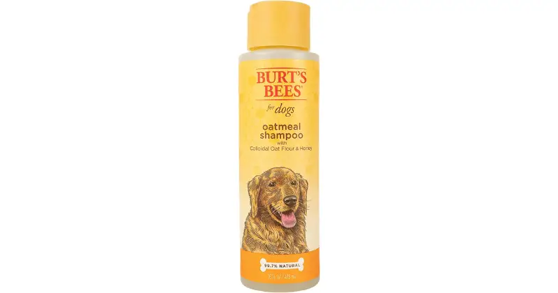 Burt's Bees for Dogs Oatmeal Shampoo