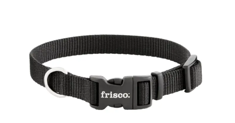 Frisco Solid Nylon Collar: Best Collars for French bulldogs