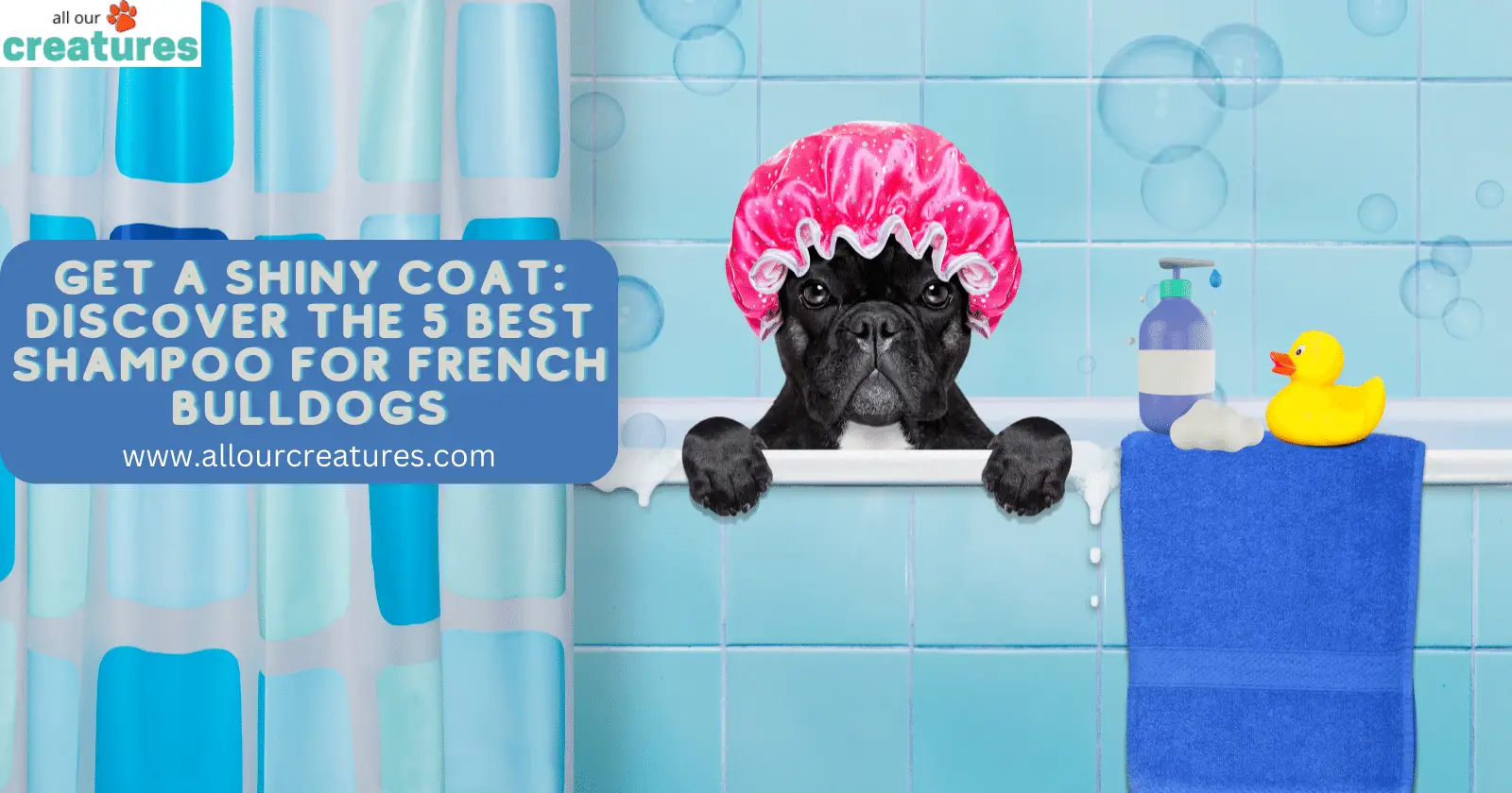 Get a Shiny Coat! Discover the 5 Best Shampoo for French Bulldogs