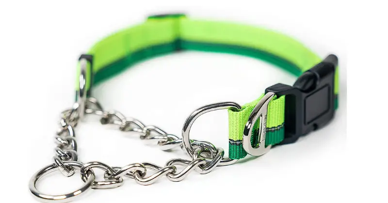 Mighty Paw Martingale Collar: Best Collars for French bulldogs