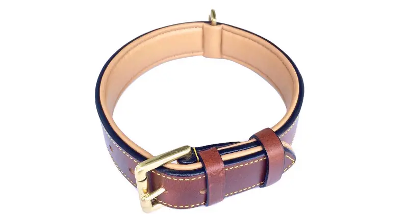Soft Touch Collars Luxury Leather Padded Collar: Best Collars for French bulldogs