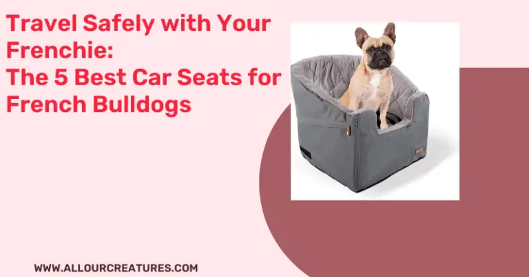 Travel Safely with Your Frenchie: The 5 Best Car Seats for French Bulldogs!