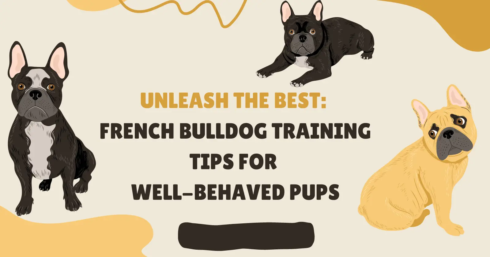 Unleash the Best: French Bulldog Training Tips for Well-Behaved Pups ...