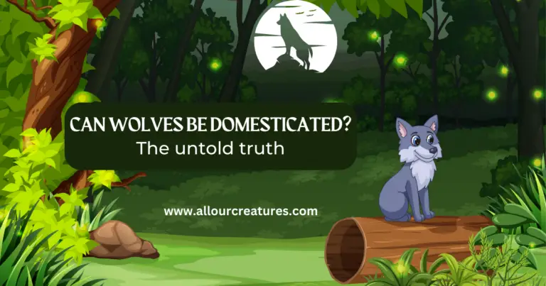 Can Wolves Be Domesticated? The Untold Truth