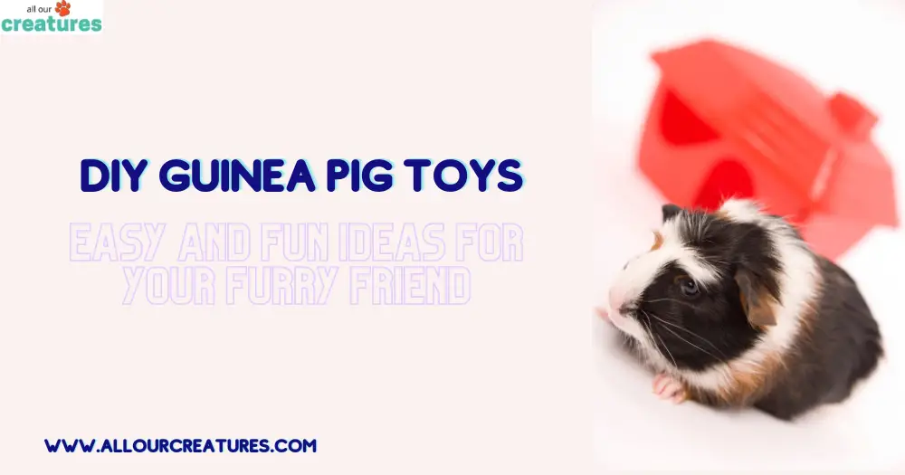 DIY Guinea Pig Toys: Easy and Fun Ideas for Your Furry Friend