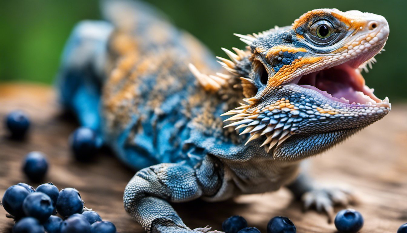 Can Bearded Dragons Eat Blueberries