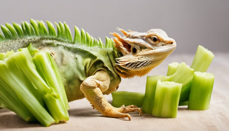 Can Bearded Dragons Eat Celery? Learn the Benefits and Risks