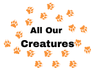 All Our Creatures