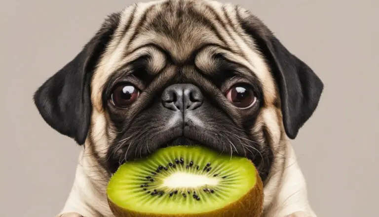 Can Pugs Eat Kiwi? Expert Advice on Fruits for Dogs