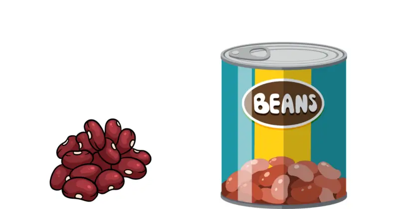can pugs eat beans