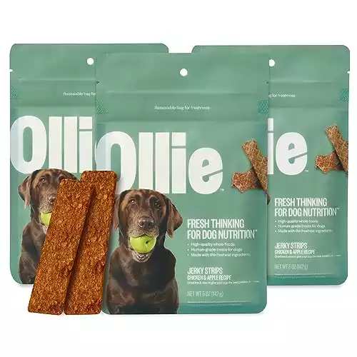 Ollie Chicken and Apple Recipe Jerky Dog Treats - Real Meat Dog Treats 15 Oz.