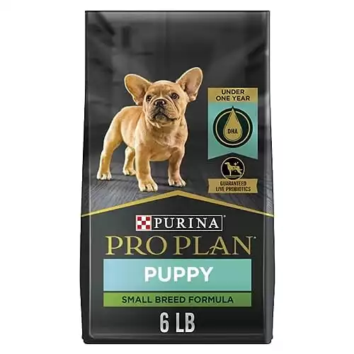 Pro Plan Purina Focus Small Breed Chicken Rice Dry Puppy Food (6 Lb)