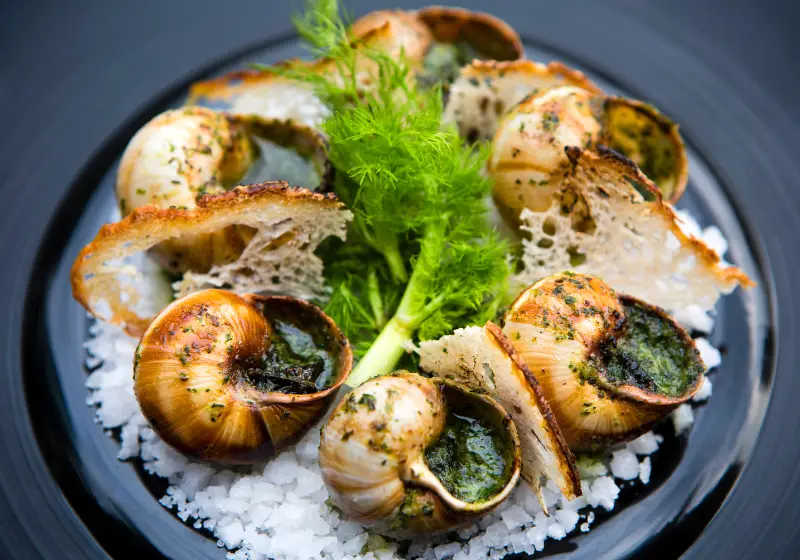 snail dish: Benefits of Snails