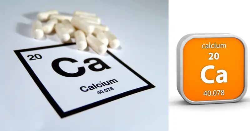 Calcium for Snails