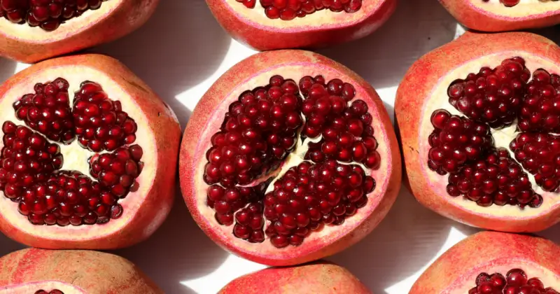 Can Pugs Eat Pomegranate: Pomegranate