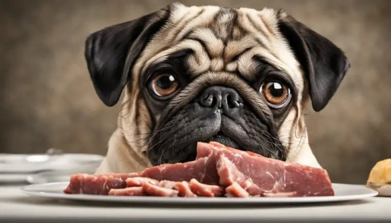 Can Pugs Eat Raw Meat? Expert Guidance on Their Diet