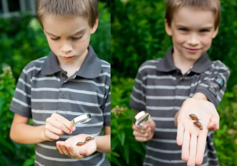 a child playing with snail: Do Mystery Snails Sleep