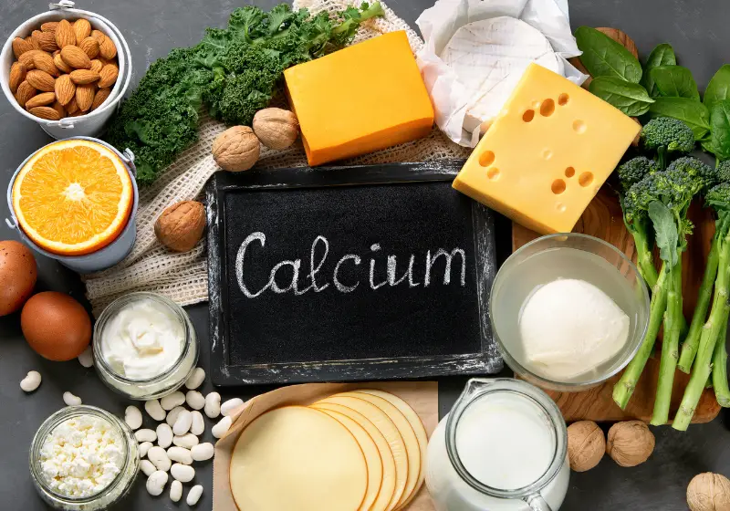 Calcium for Snails: sources of calcium