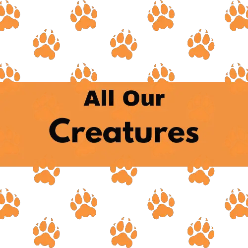 All Our Creatures